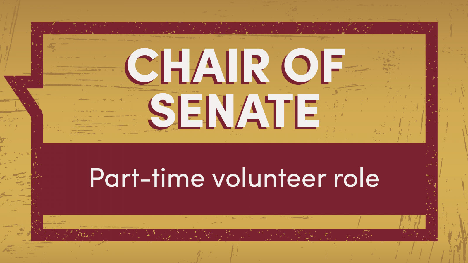 Open the Chair of Senate role profile PDF