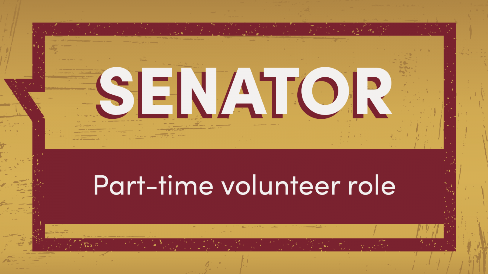 Open the Senator role profile PDF