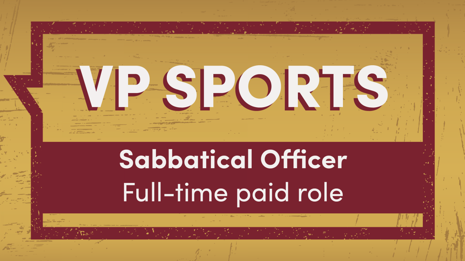 Open the VP Sports role profile PDF