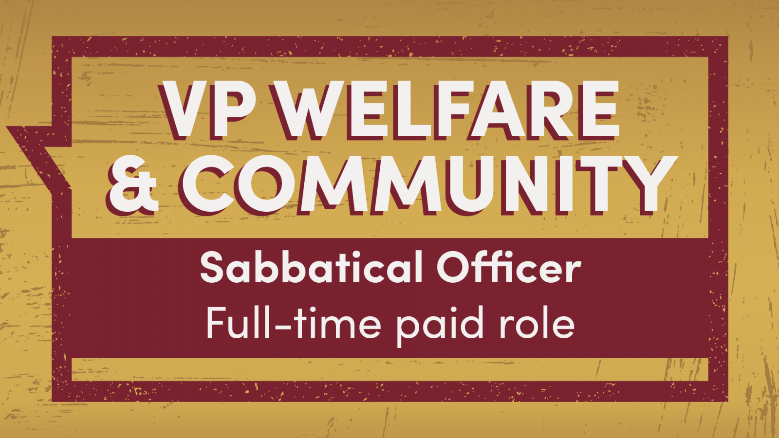 Open the VP Welfare and Community role profile PDF