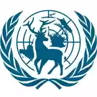 Model United Nations