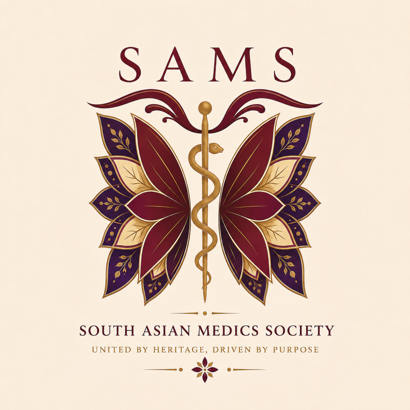 South Asian Medics Southampton 