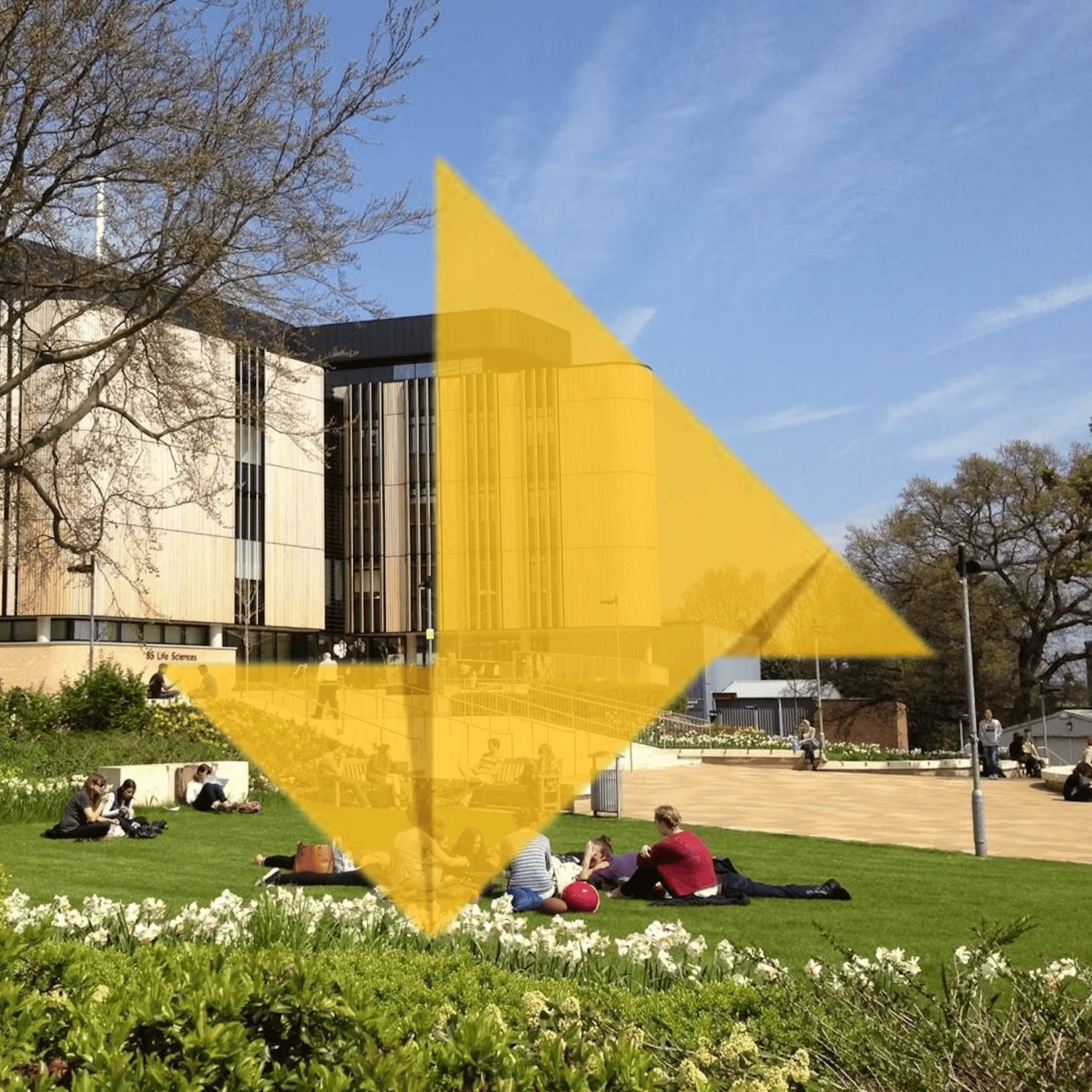 Enactus Southampton
