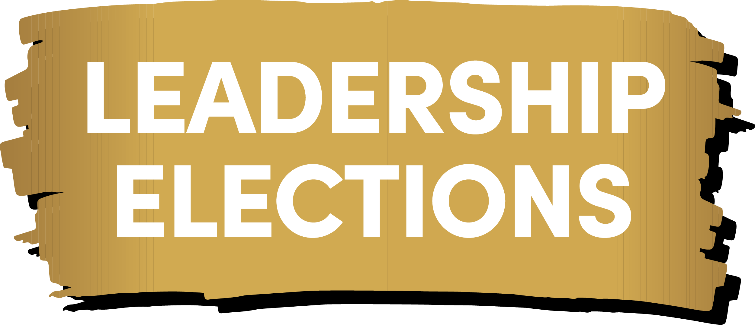 Elections logo