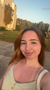 Photo of Seren Bridge