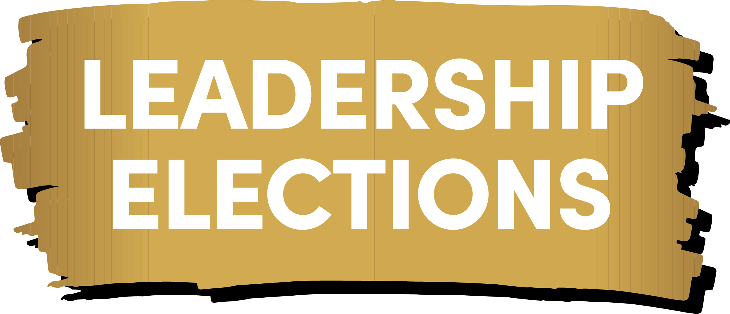 Leadership Elections - Logo V1
