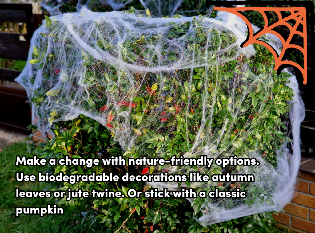 Ditch the fake spider webs